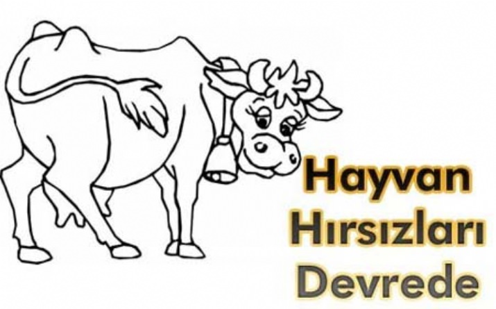 İnek Hırsızları Devrede